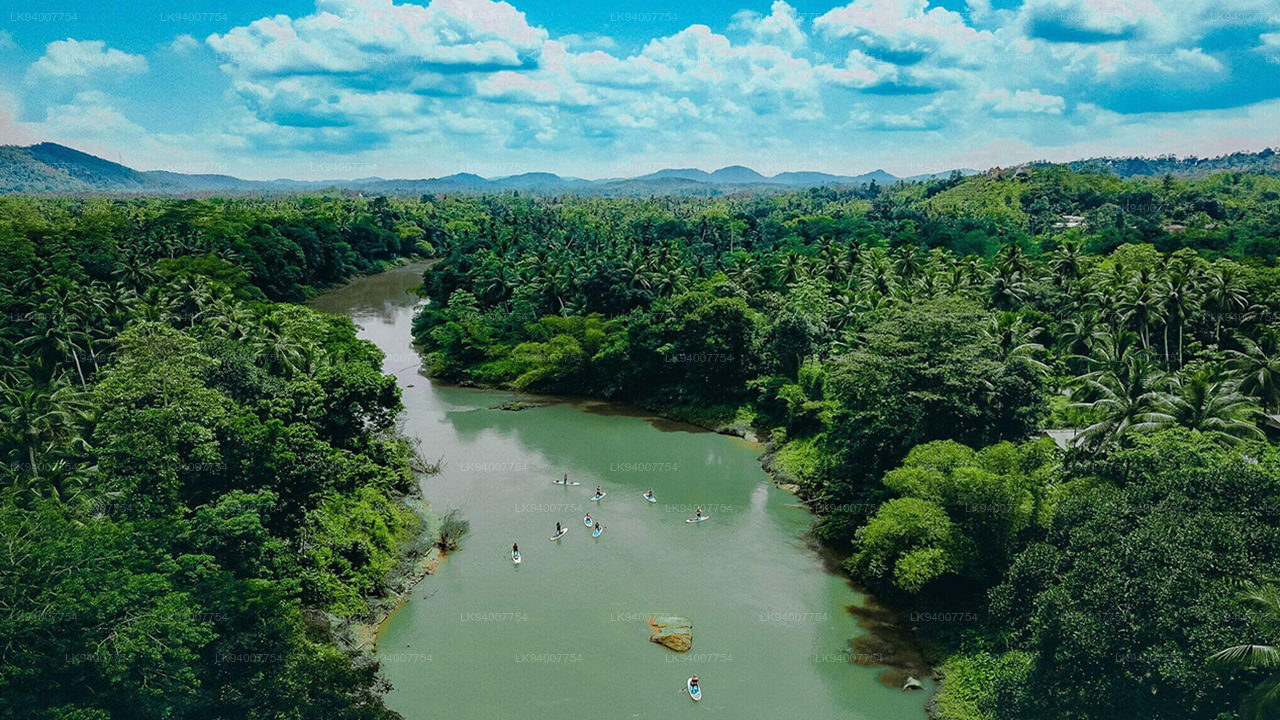 Mahaweli river
